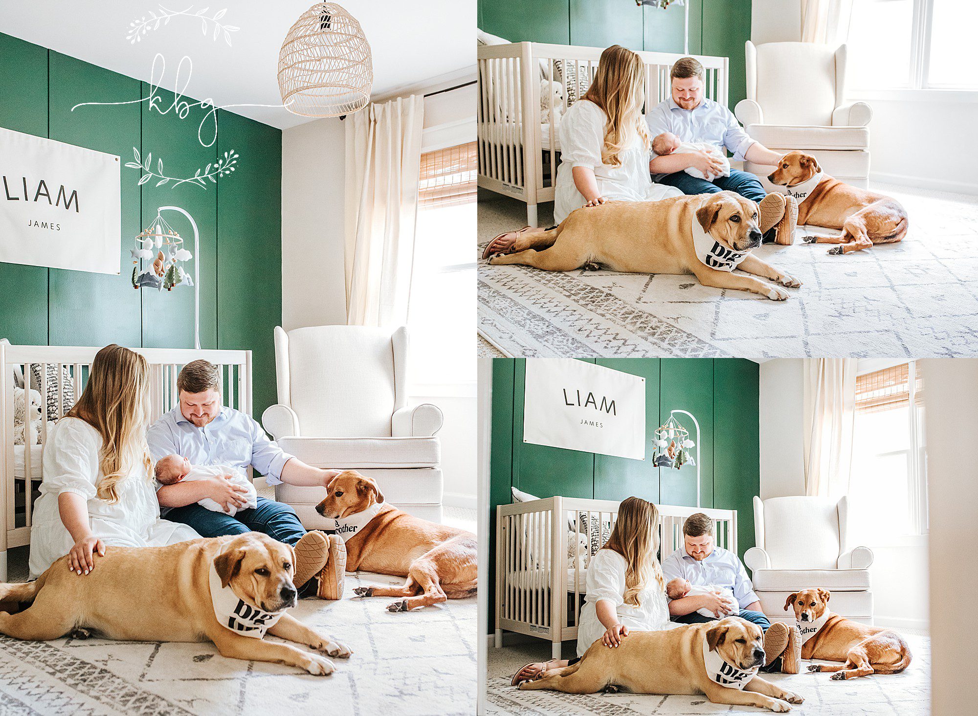 mom and dad posing with new baby and family dogs in nursery - east cobb newborn photographer