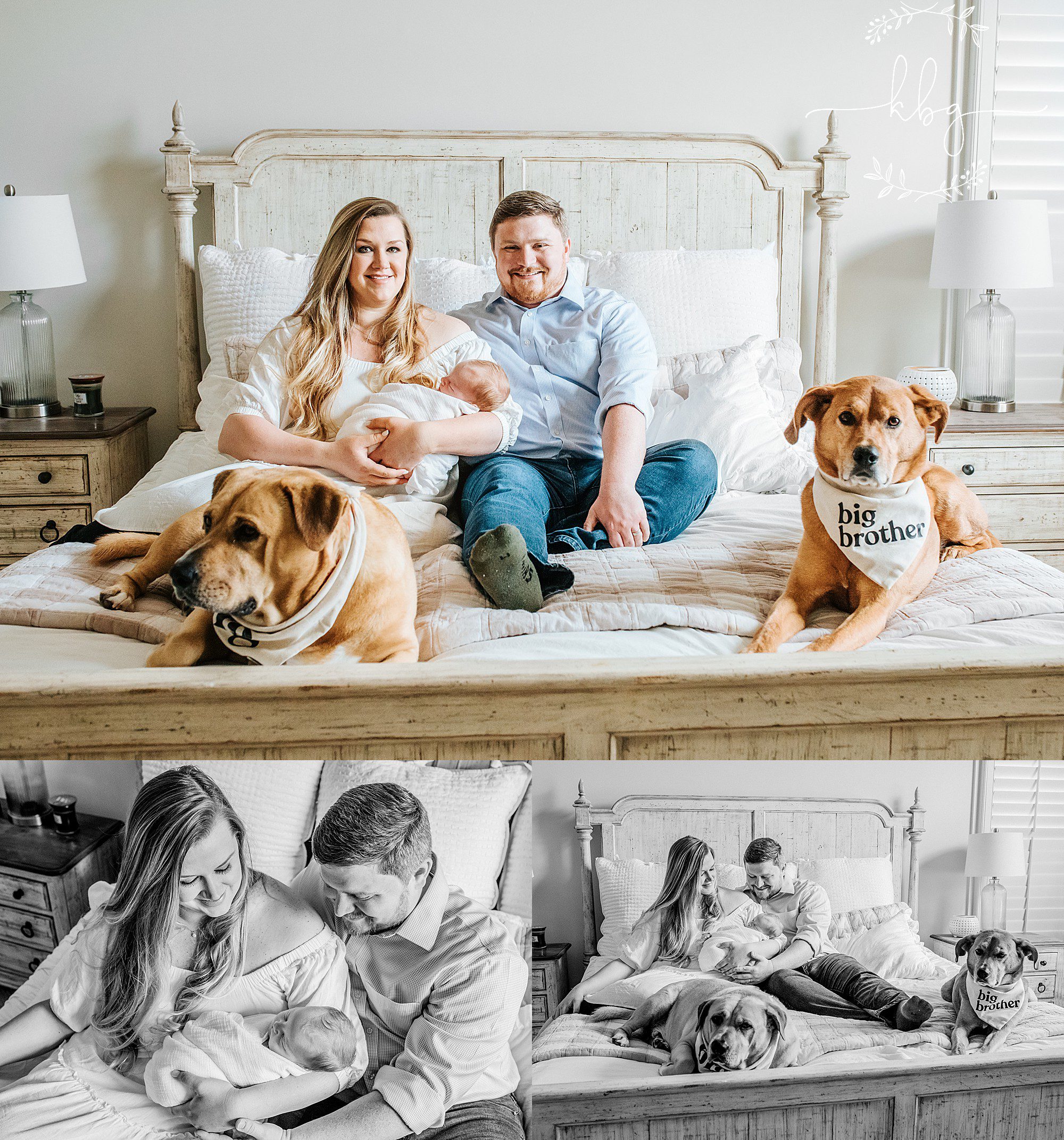 family of three with their two dogs posing on bed - marietta newborn photographer